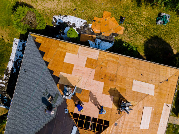 Best Roof Gutter Cleaning  in Hurlburt Field, FL